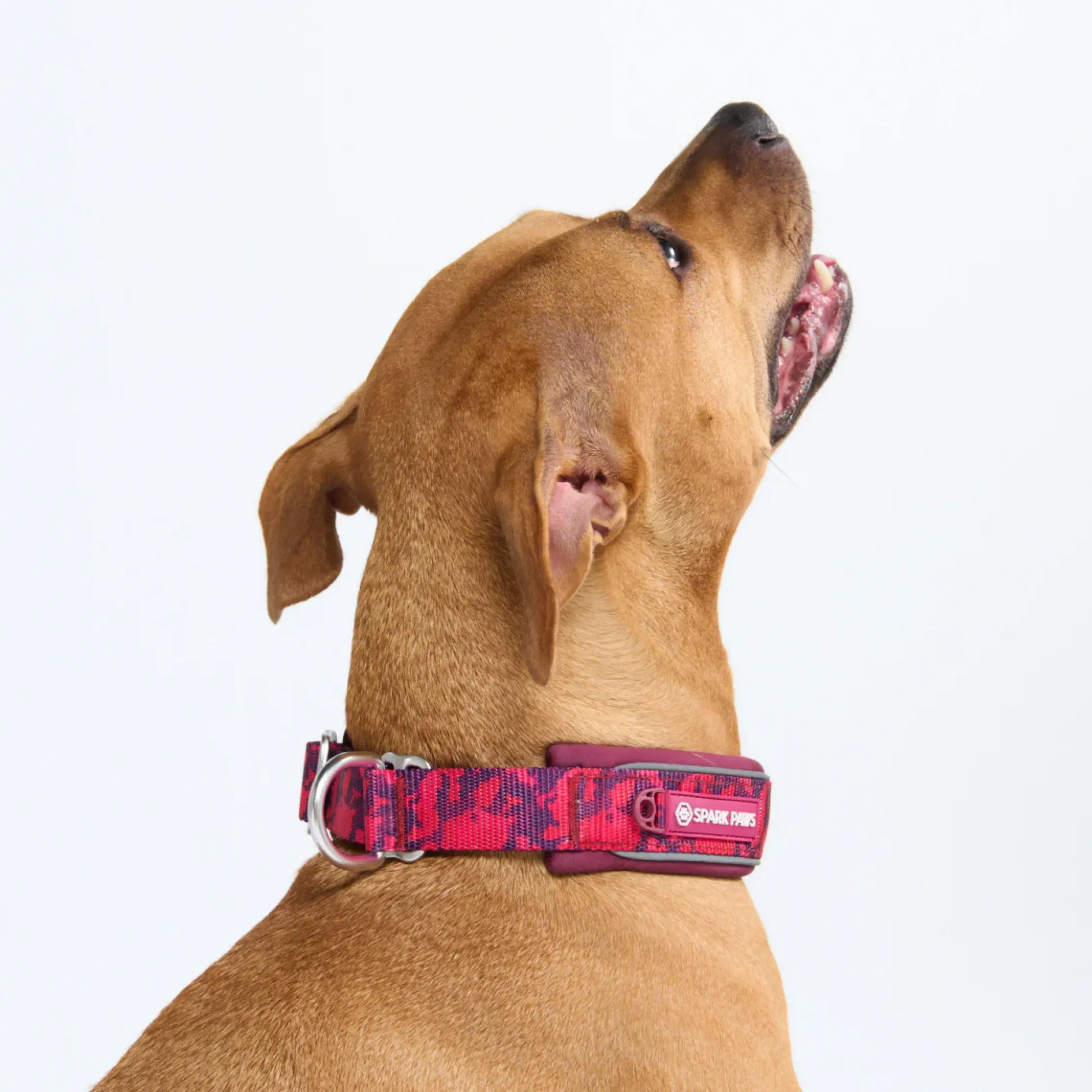 Cushioned Martingale Collar - Fuchsia Camo