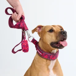Cushioned Martingale Collar - Fuchsia Camo