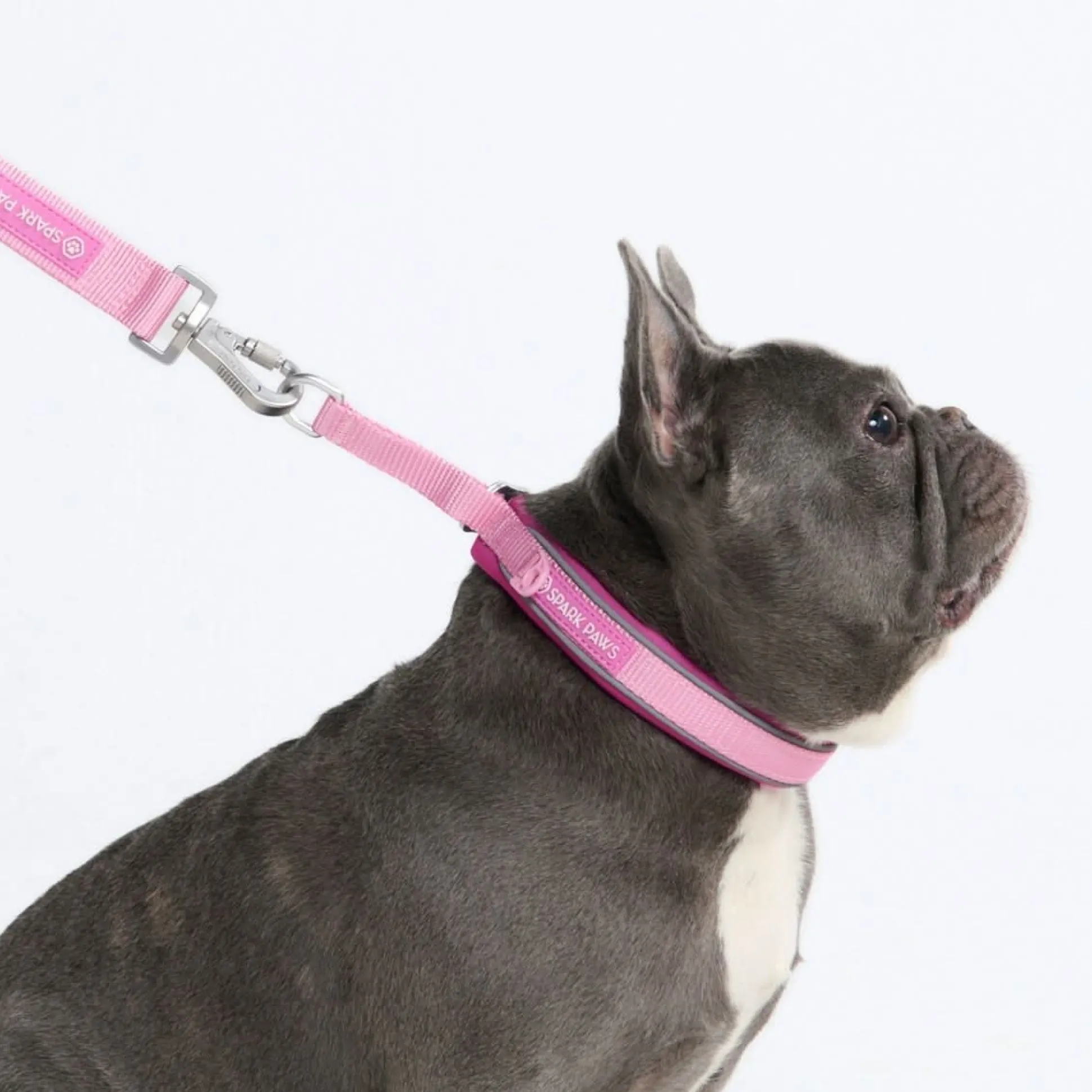 Cushioned Martingale Collar - Pink