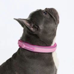 Cushioned Martingale Collar - Pink