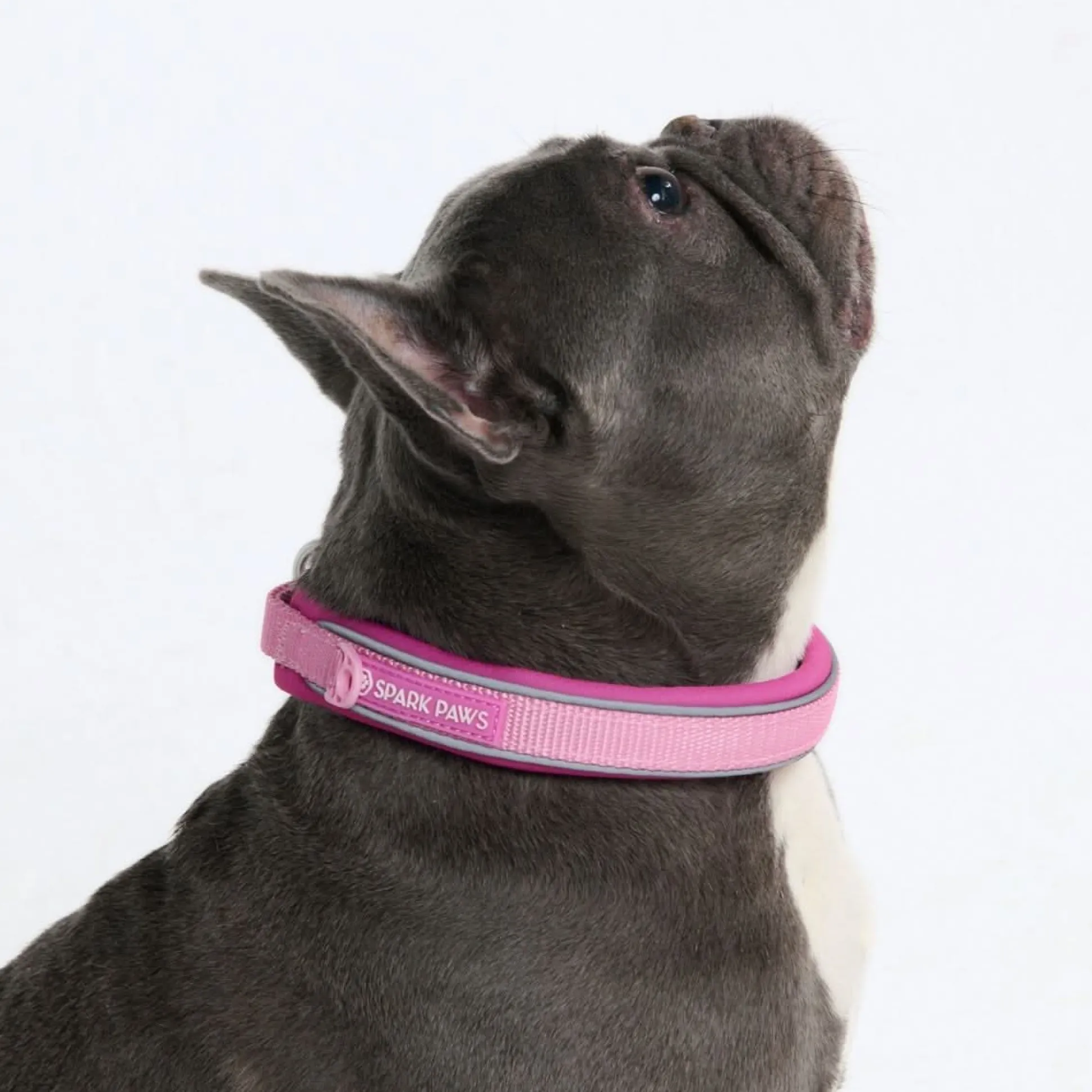 Cushioned Martingale Collar - Pink