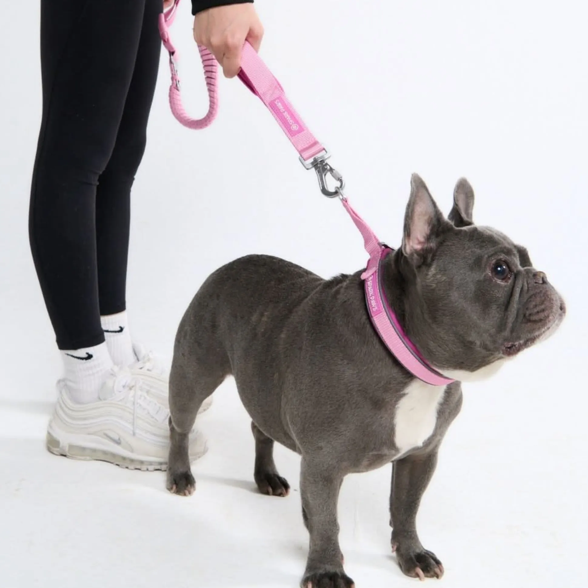Cushioned Martingale Collar - Pink