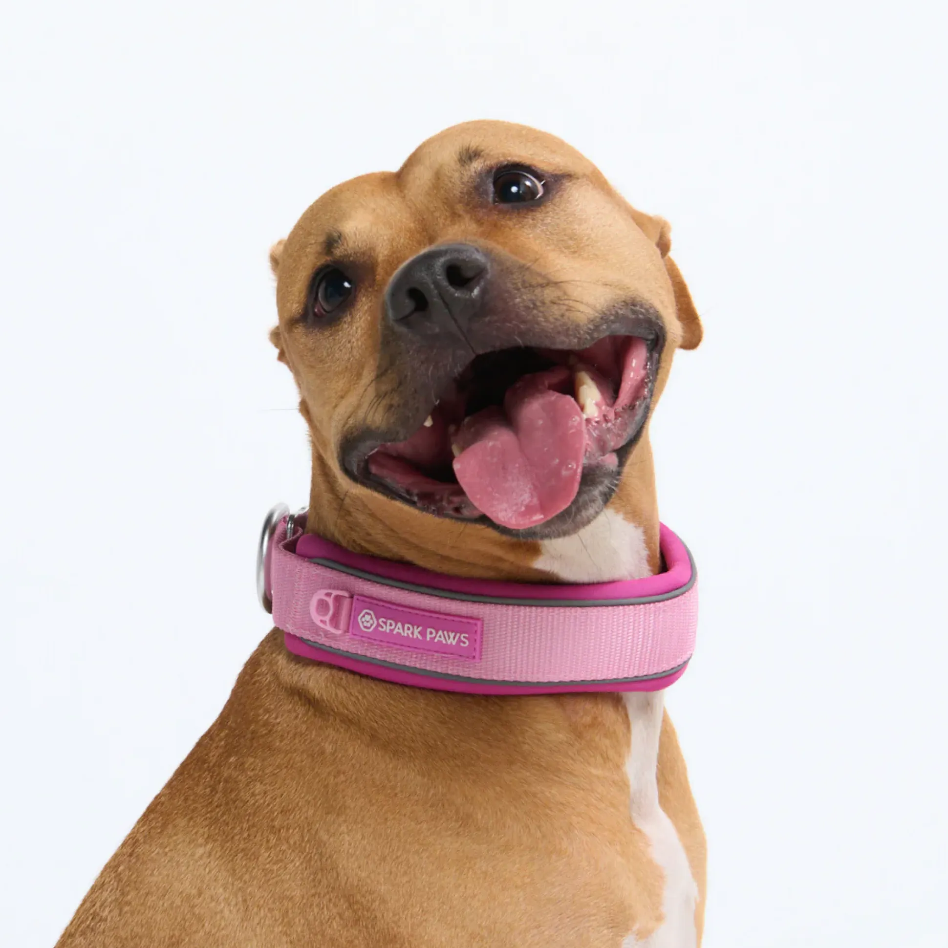 Cushioned Martingale Collar - Pink