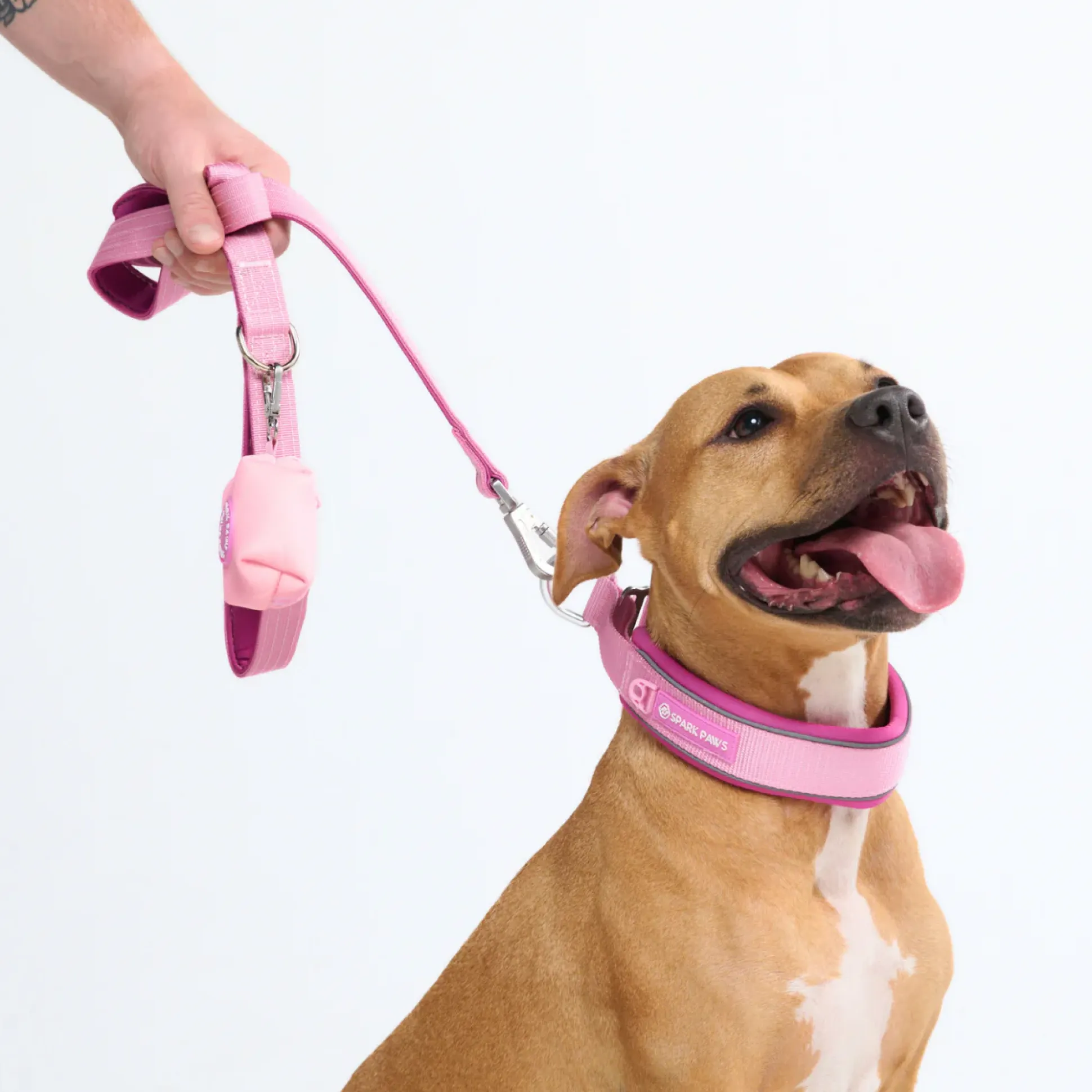 Cushioned Martingale Collar - Pink