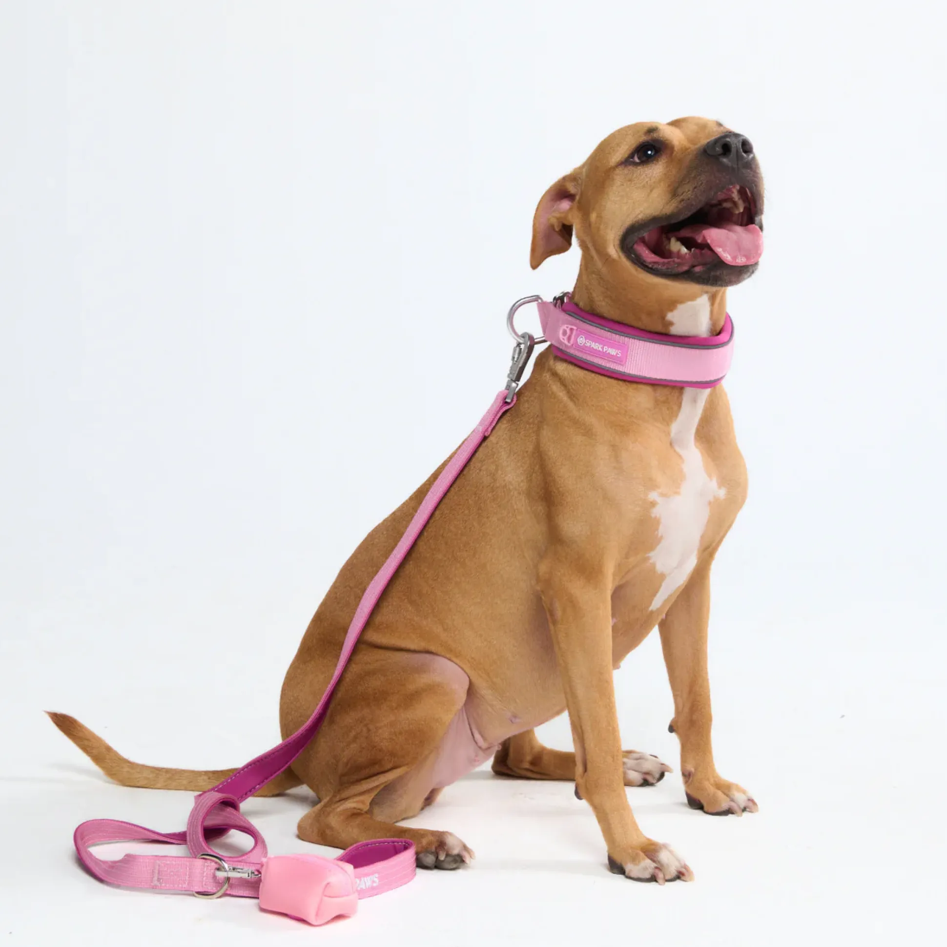 Cushioned Martingale Collar - Pink