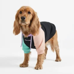Cyber Punk Dog Hoodie