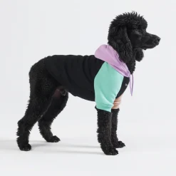 Cyber Punk Dog Hoodie