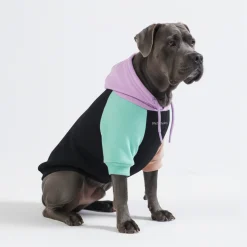 Cyber Punk Dog Hoodie