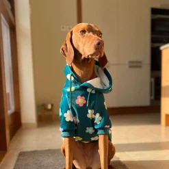 Daisy Dog Hoodie - Green