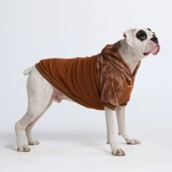 Desert Camo Dog Hoodie