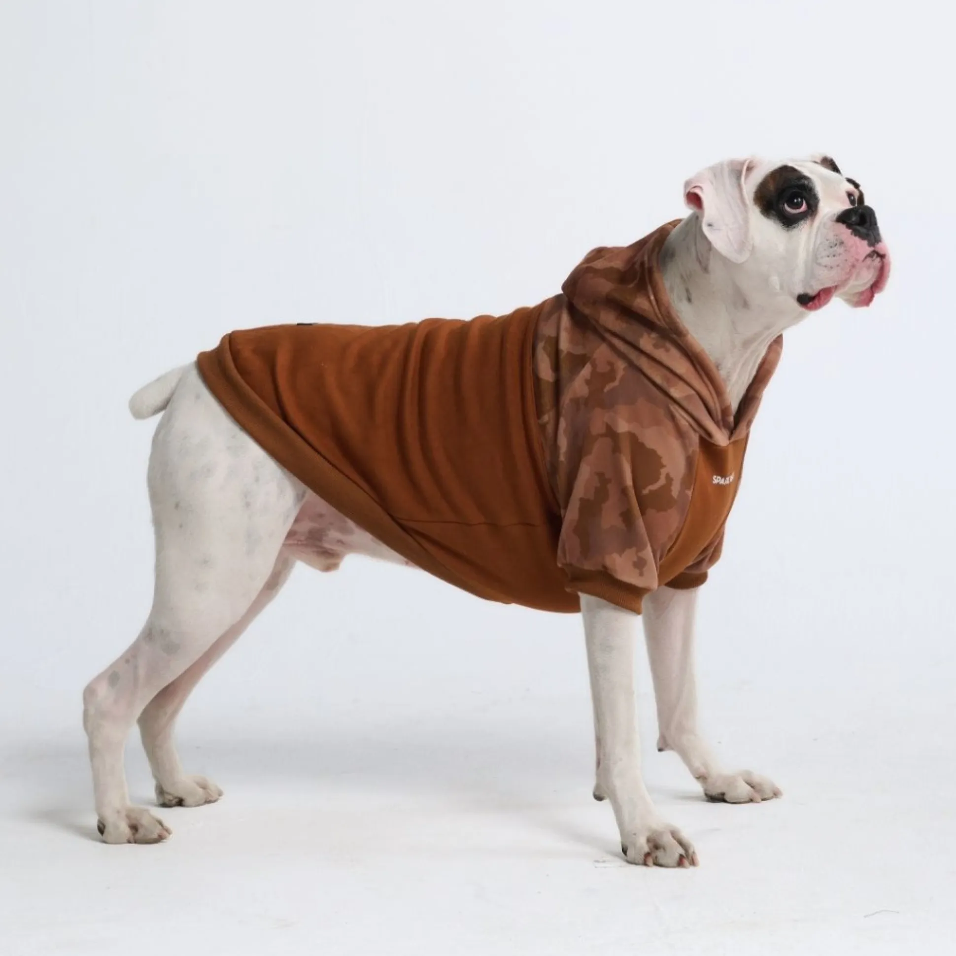 Desert Camo Dog Hoodie