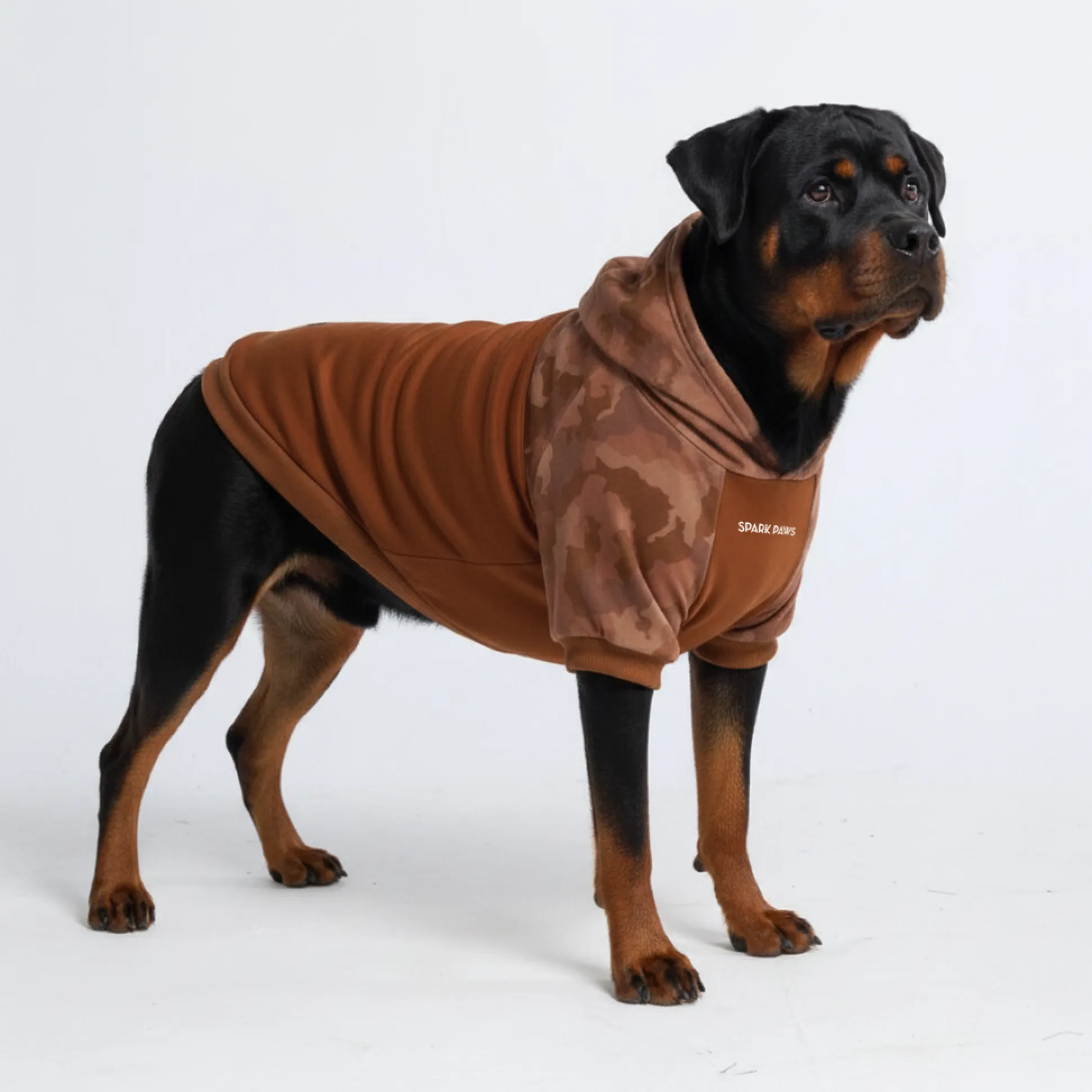 Desert Camo Dog Hoodie
