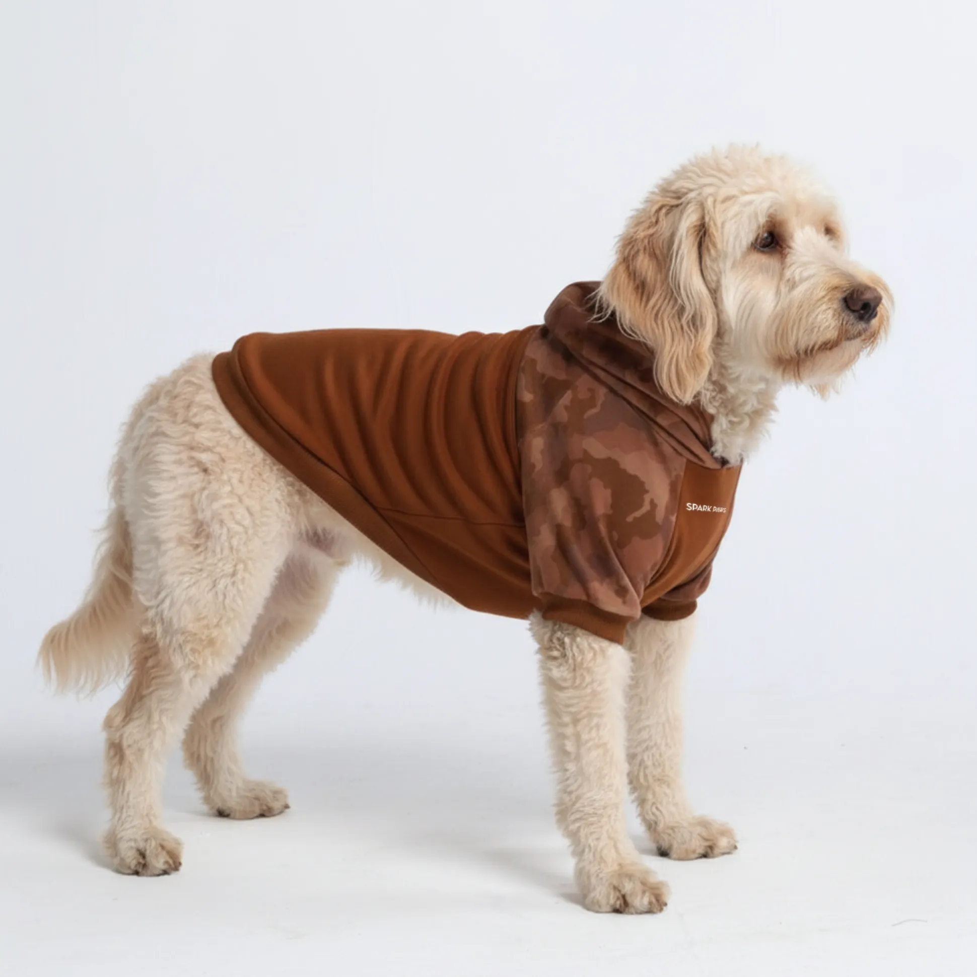 Desert Camo Dog Hoodie