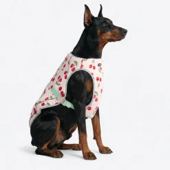 Dog Cooling Vest - Cherries
