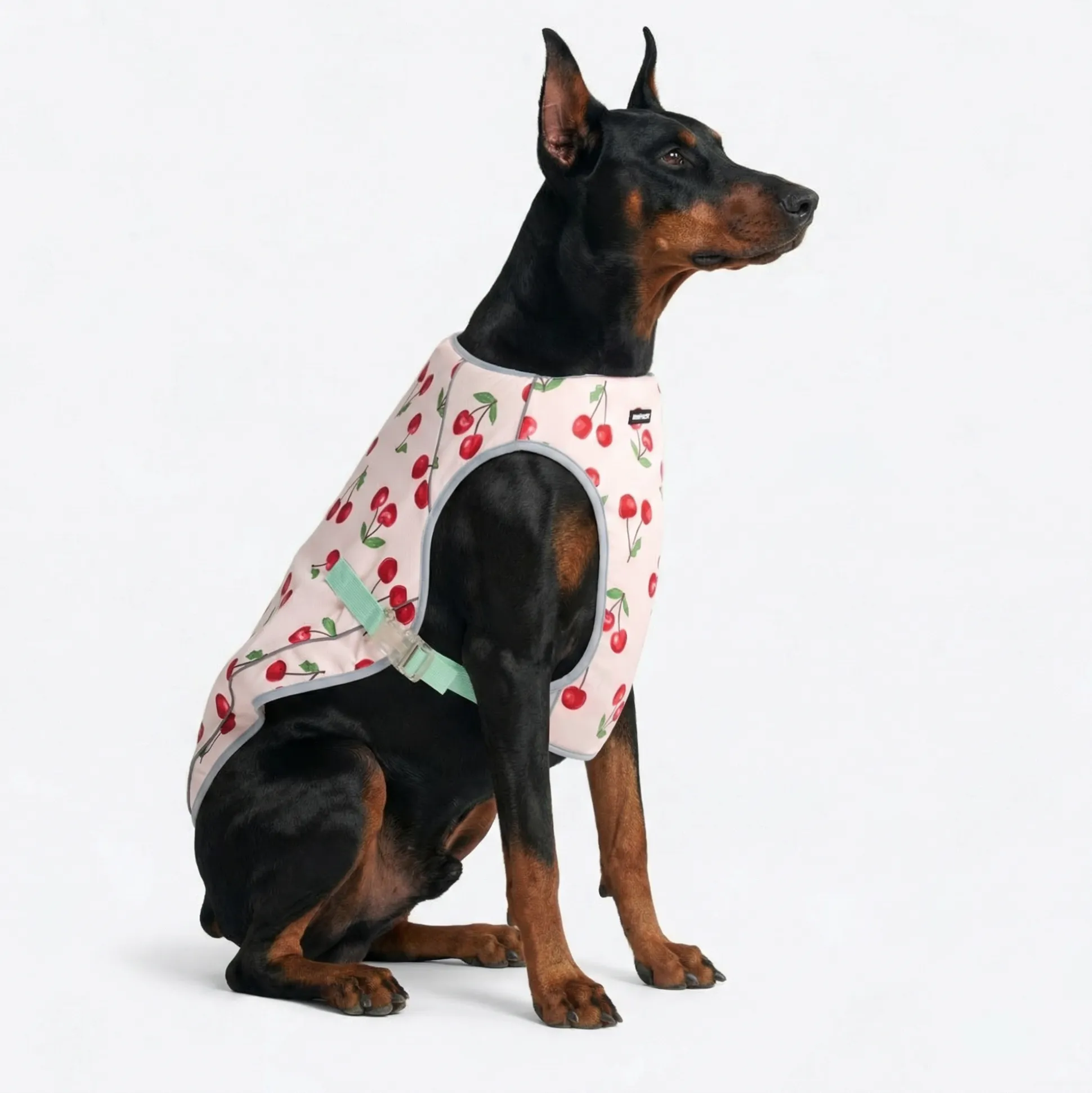 Dog Cooling Vest - Cherries
