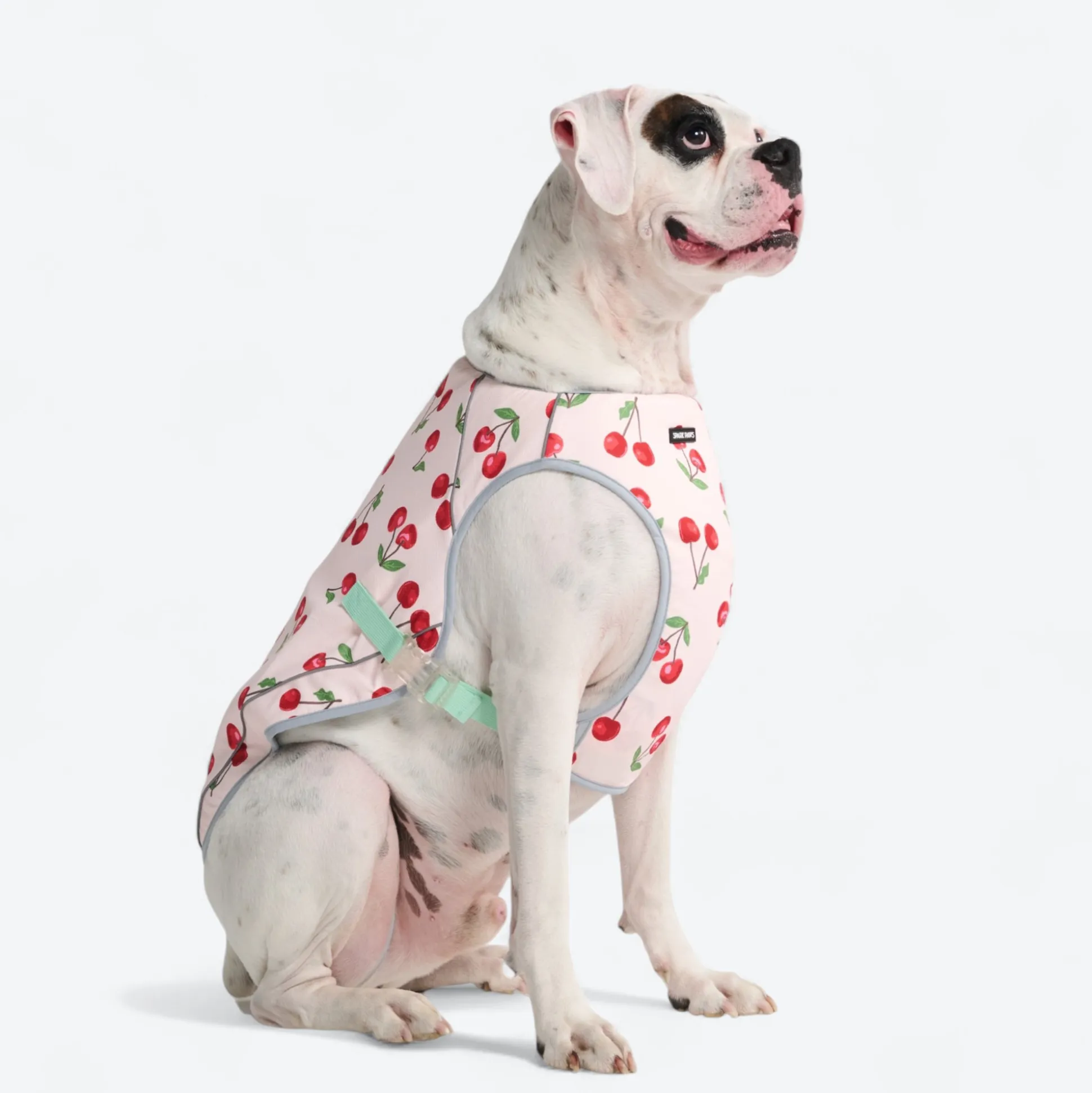 Dog Cooling Vest - Cherries