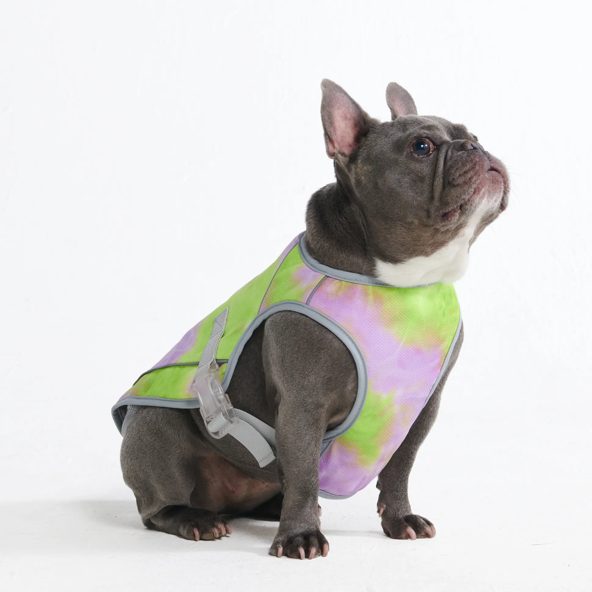 Dog Cooling Vest - Neon Purple