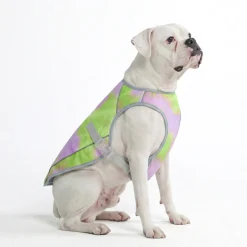Dog Cooling Vest - Neon Purple