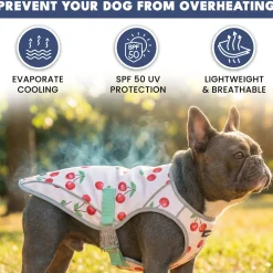 Dog Cooling Vest (2-pack) - Cherries & Watermelon