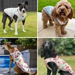 Dog Cooling Vest (2-pack) - Cherries & Popsicles