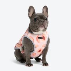 Dog Cooling Vest - Peaches