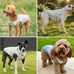Dog Cooling Vest - Popsicles