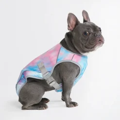 Dog Cooling Vest - Snow Cone