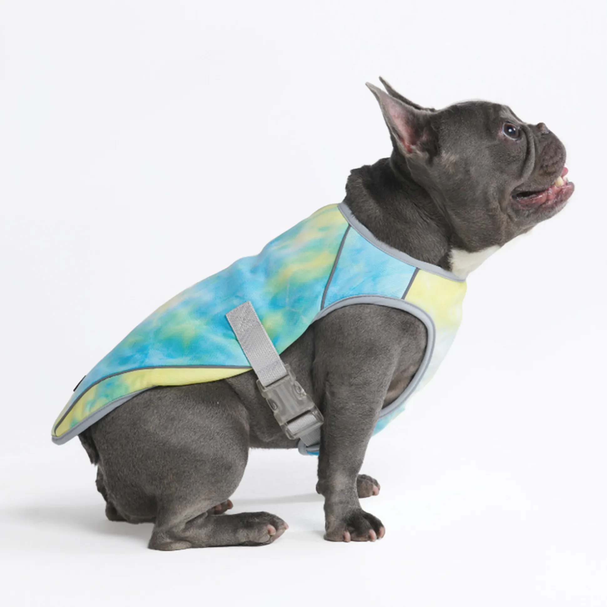 Dog Cooling Vest - Tropical Storm