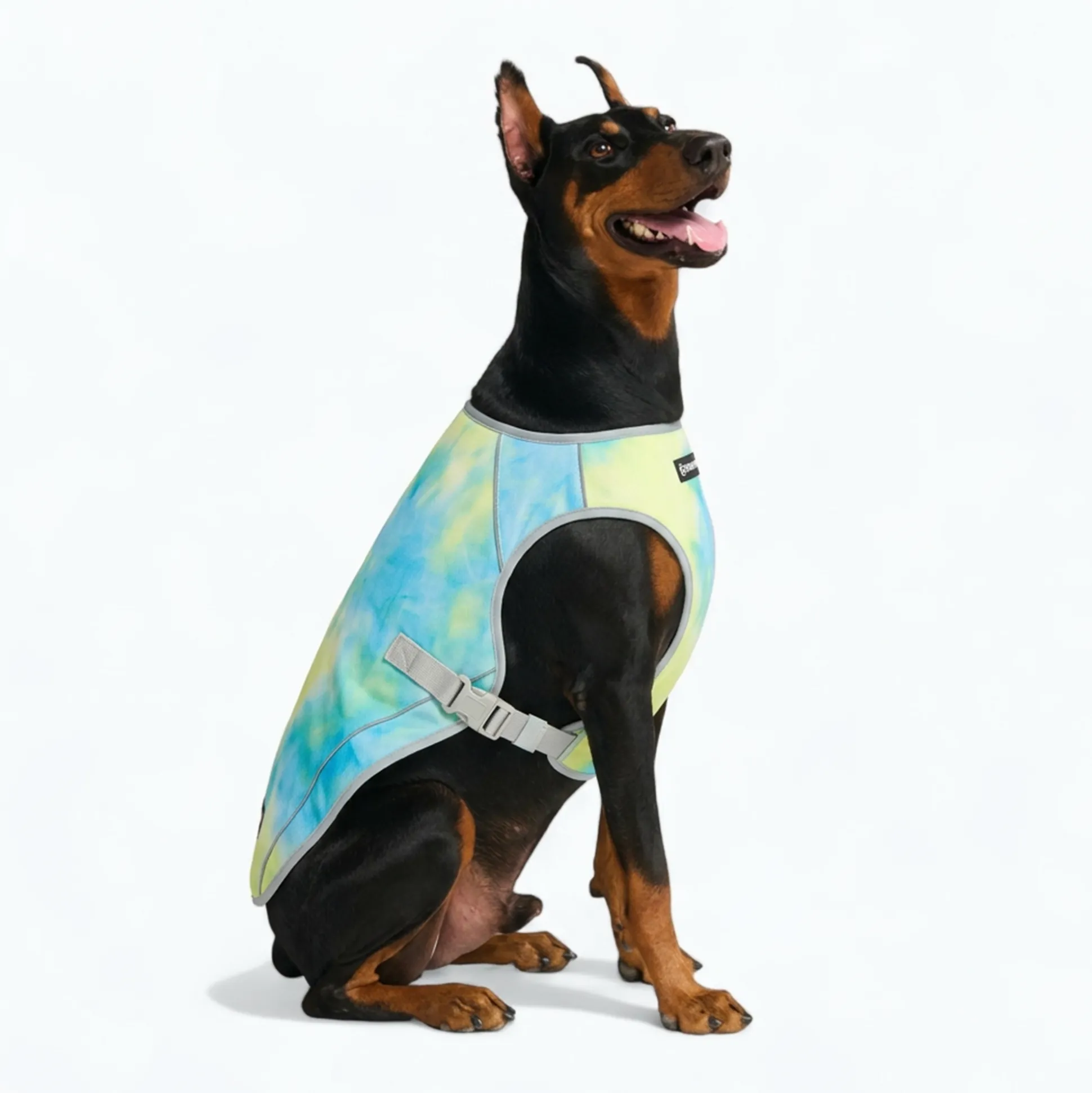 Dog Cooling Vest - Tropical Storm