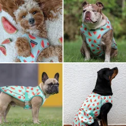Dog Cooling Vest - Watermelon