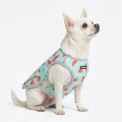 Dog Cooling Vest - Watermelon