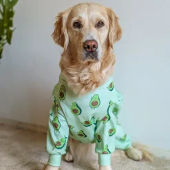 Dog Pajama - Avocado