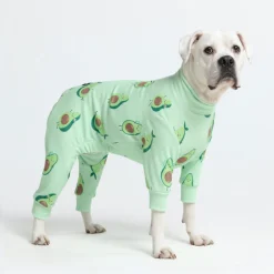 Dog Pajama - Avocado