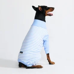 Dog Pajama - Blue Stripes