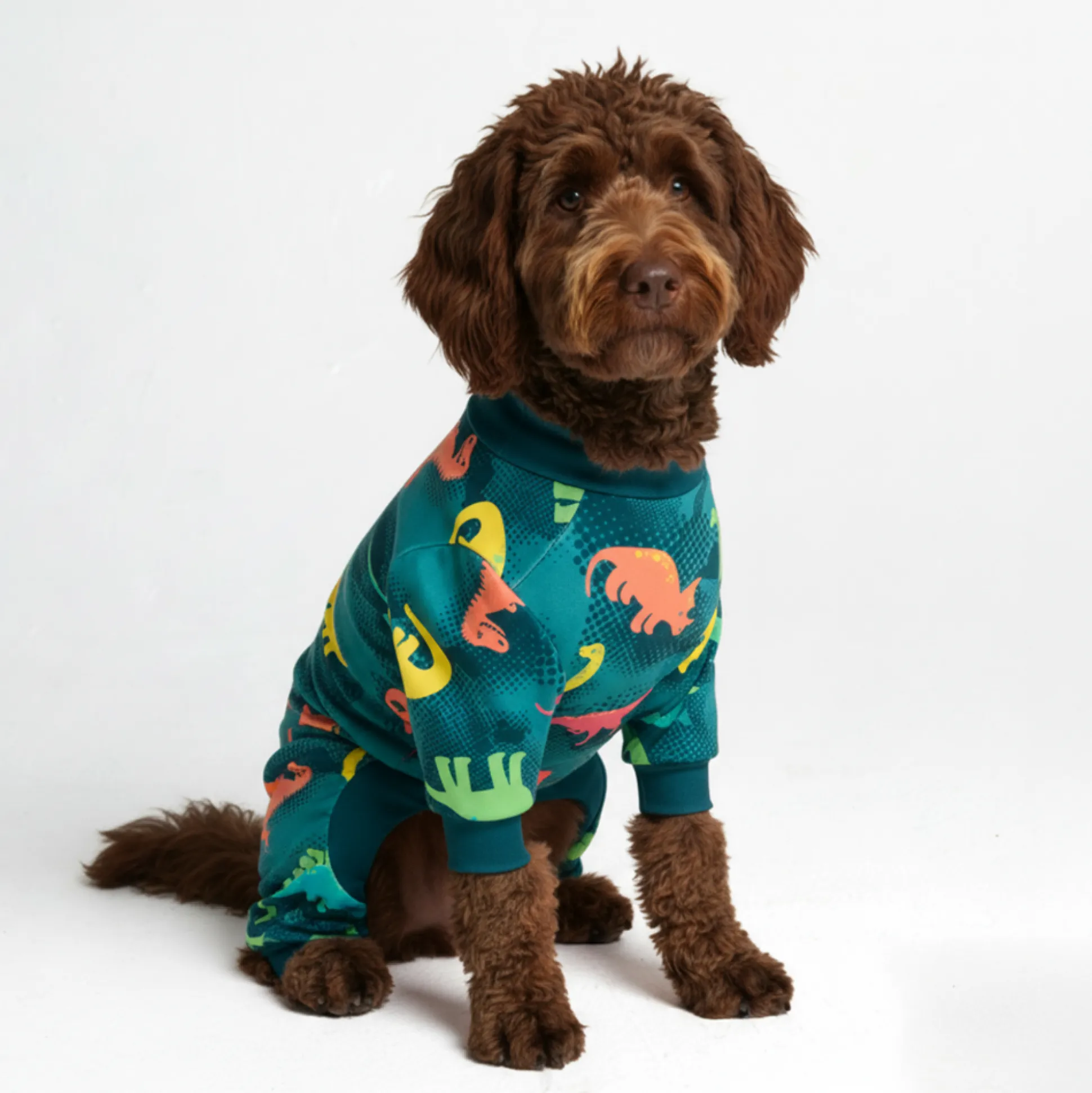 Dog Pajama - Dinosaurs