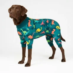 Dog Pajama - Dinosaurs