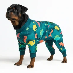 Dog Pajama - Dinosaurs