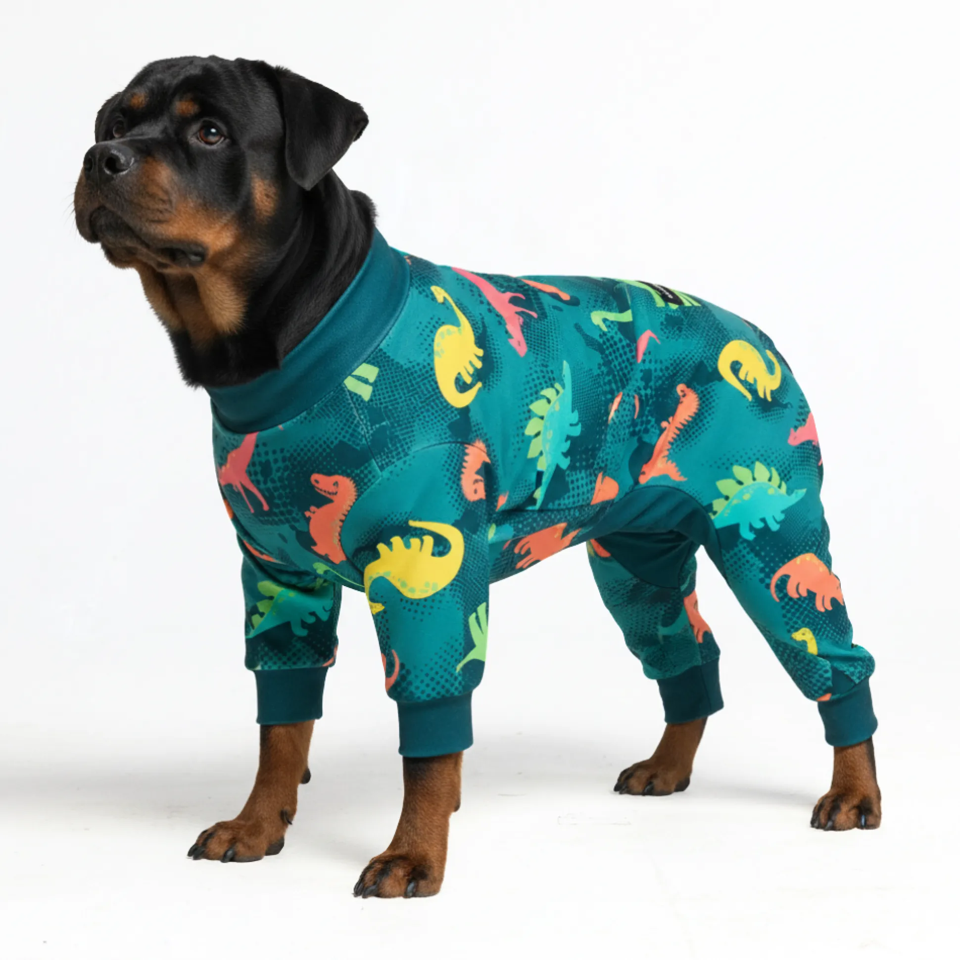 Dog Pajama - Dinosaurs