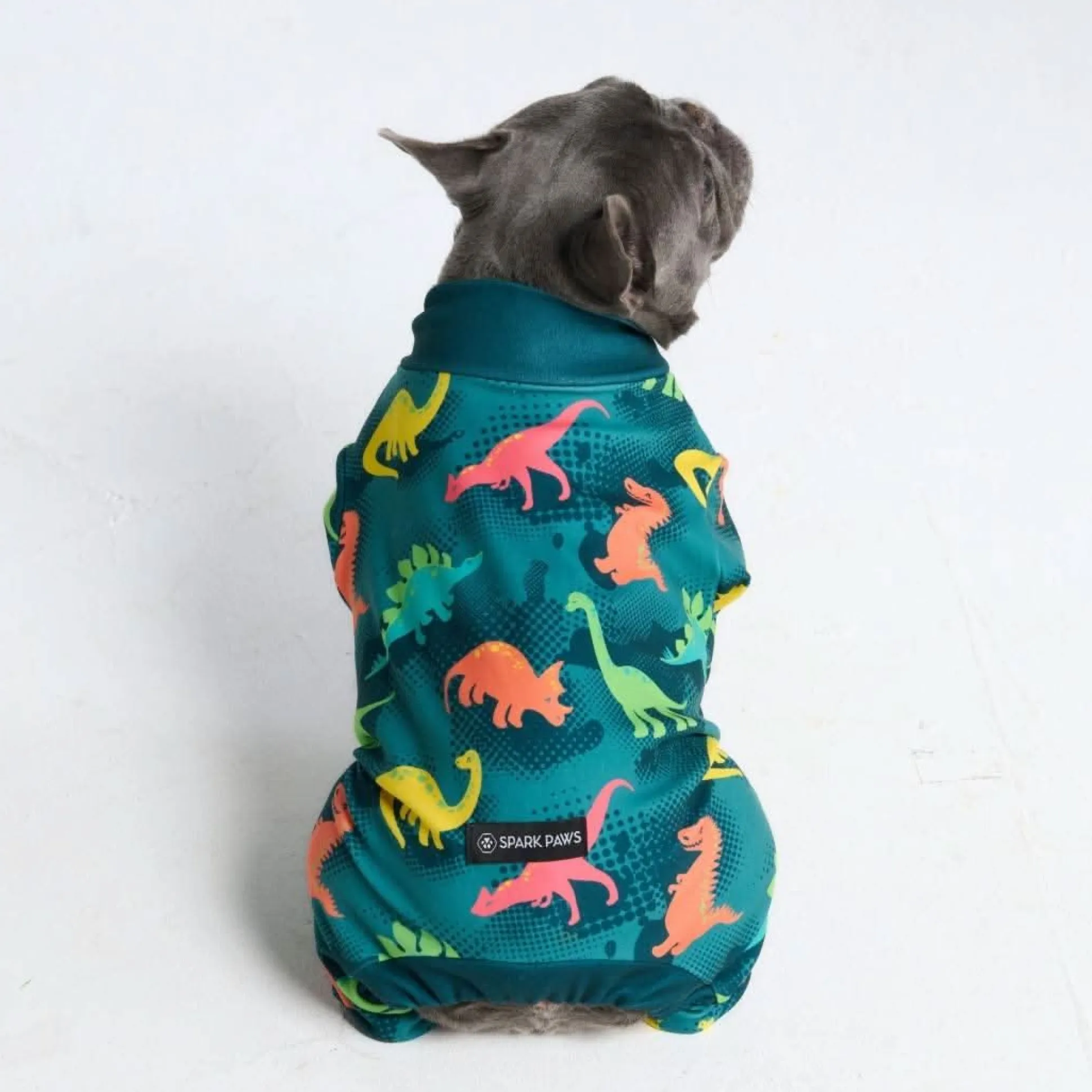 Dog Pajama - Dinosaurs