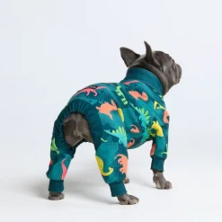 Dog Pajama - Dinosaurs