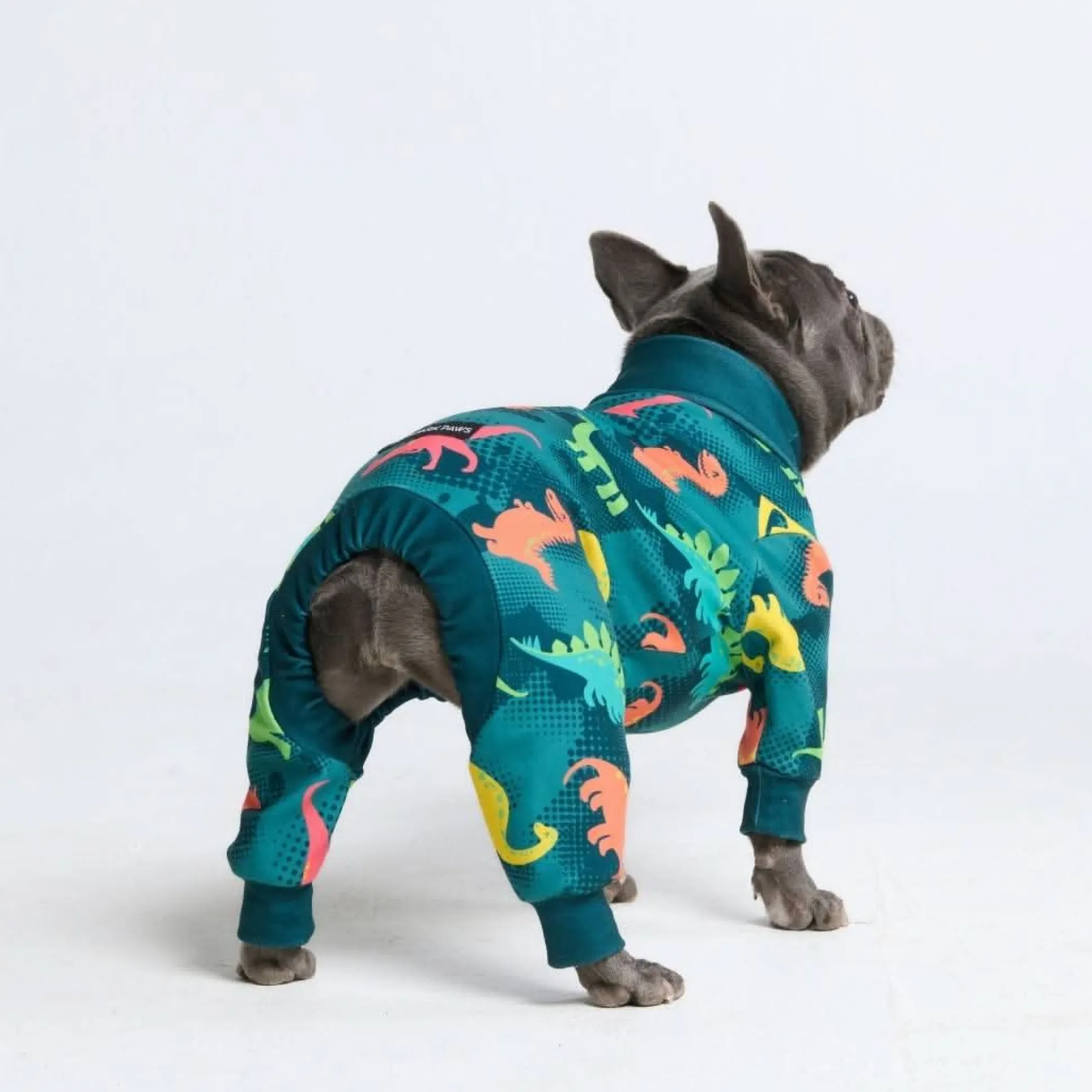 Dog Pajama - Dinosaurs