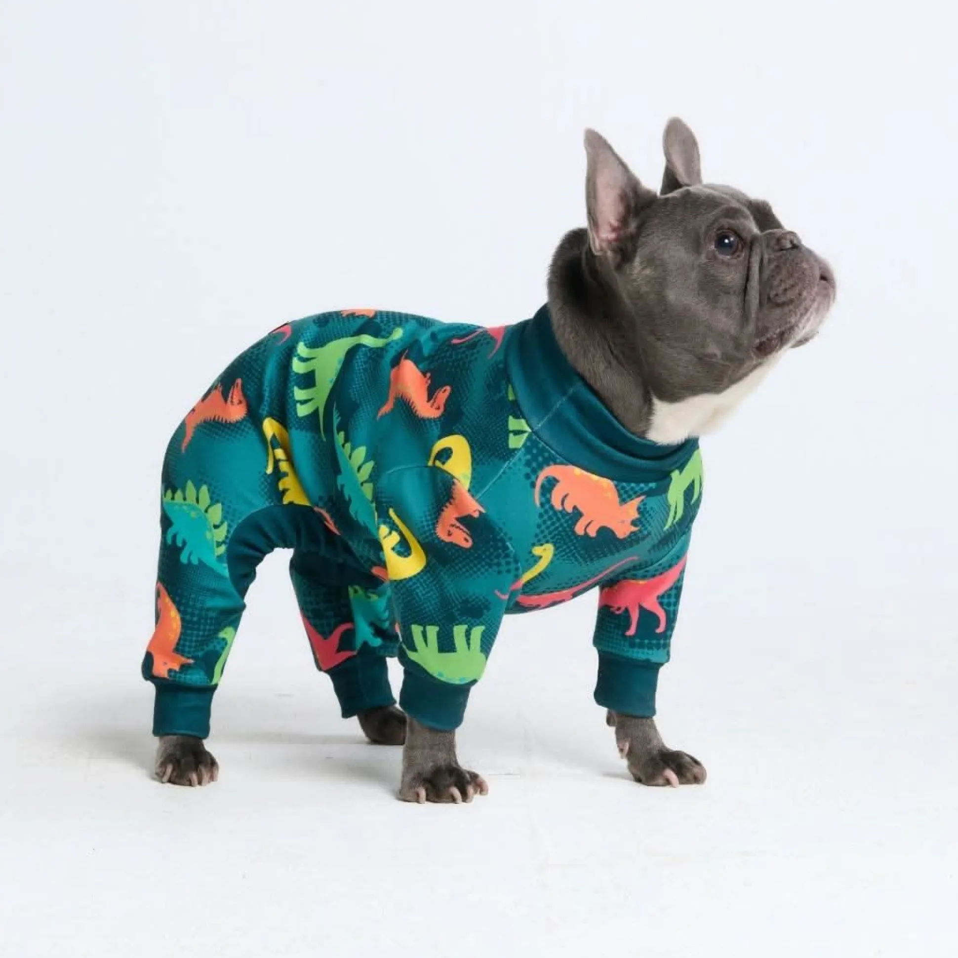 Dog Pajama - Dinosaurs