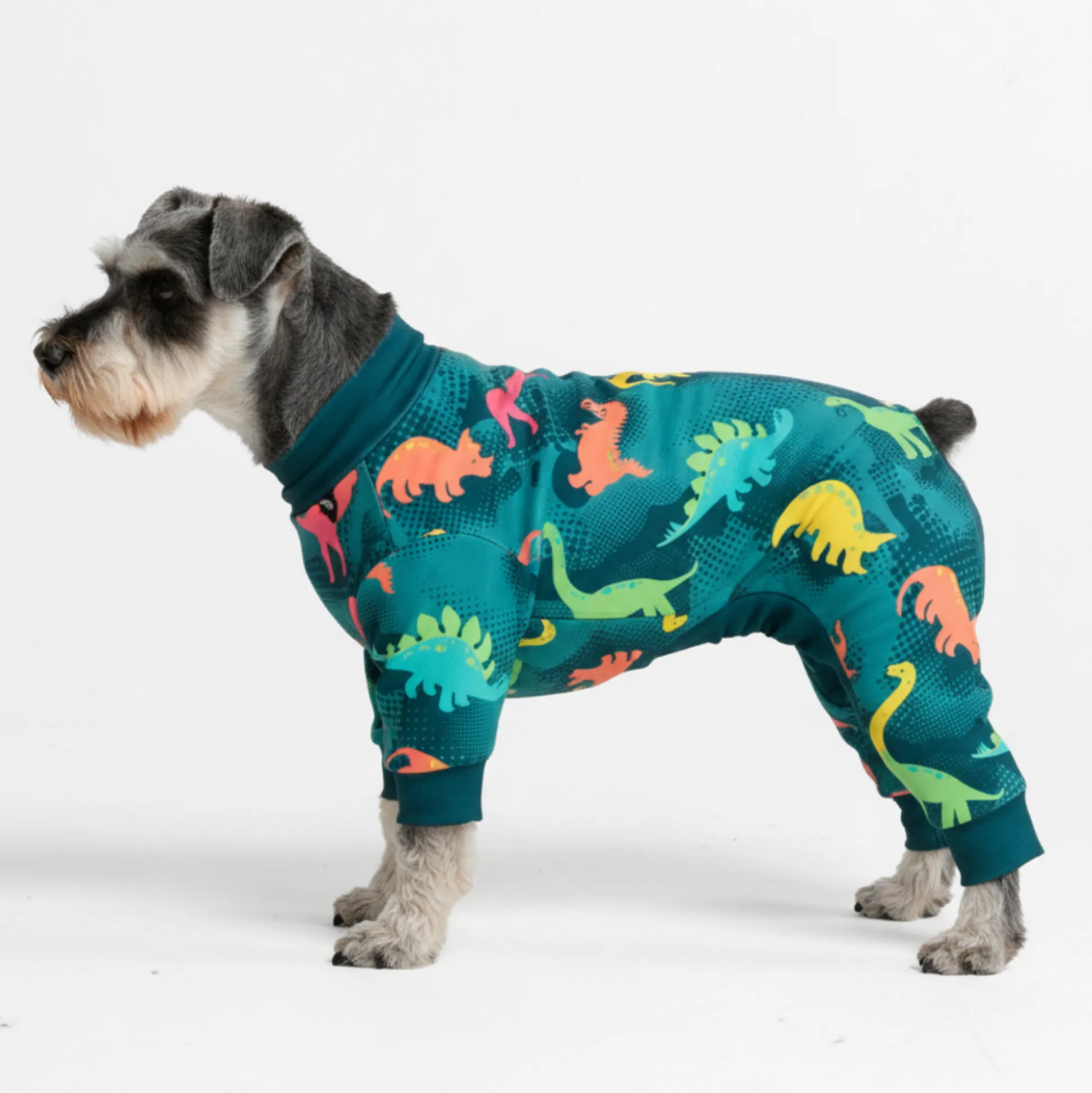 Dog Pajama - Dinosaurs