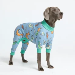 Dog Pajama - Dragons