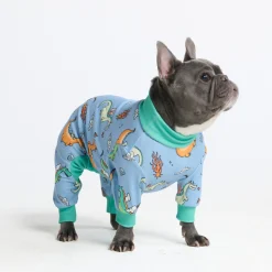 Dog Pajama - Dragons