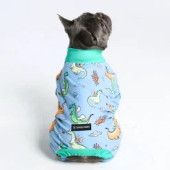 Dog Pajama - Dragons