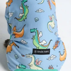 Dog Pajama - Dragons