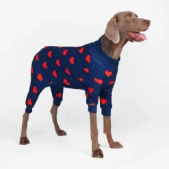 Dog Pajama - Hearts