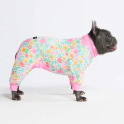 Dog Pajama - Meadows