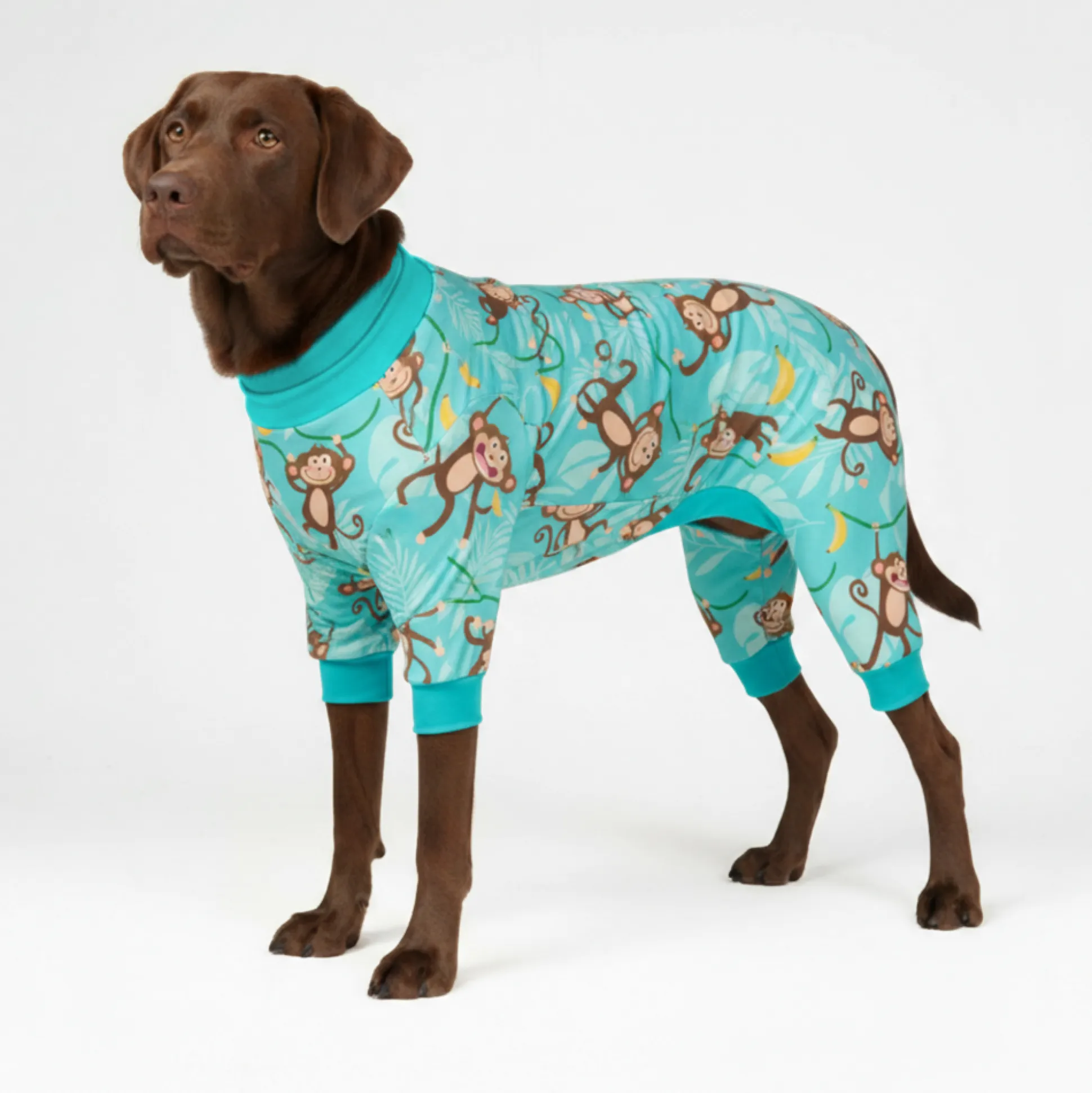 Dog Pajama - Monkey Business